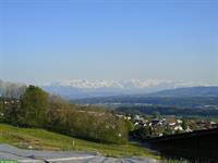 Offenstall - für Freizeitpferde auf einer Anhöhe in Oberrohrdorf AG