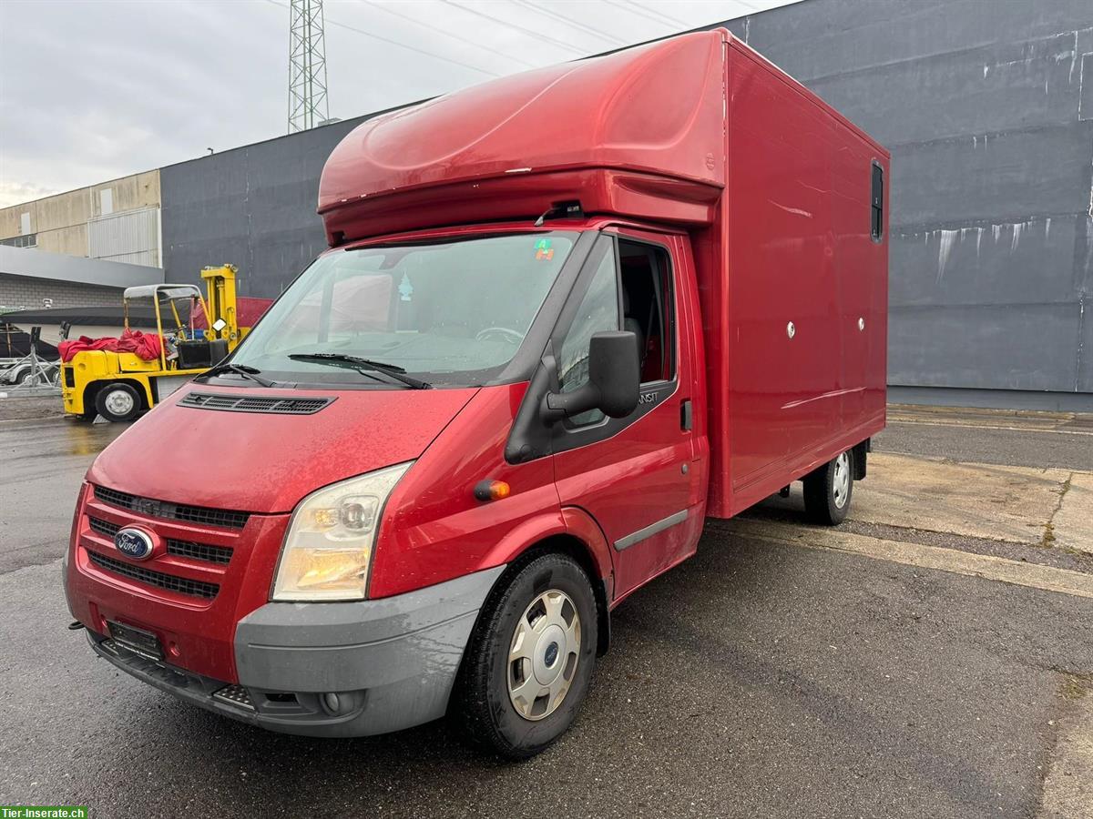 Bild 2: FORD Transit 4x4 Pferdetransporter zu verkaufen