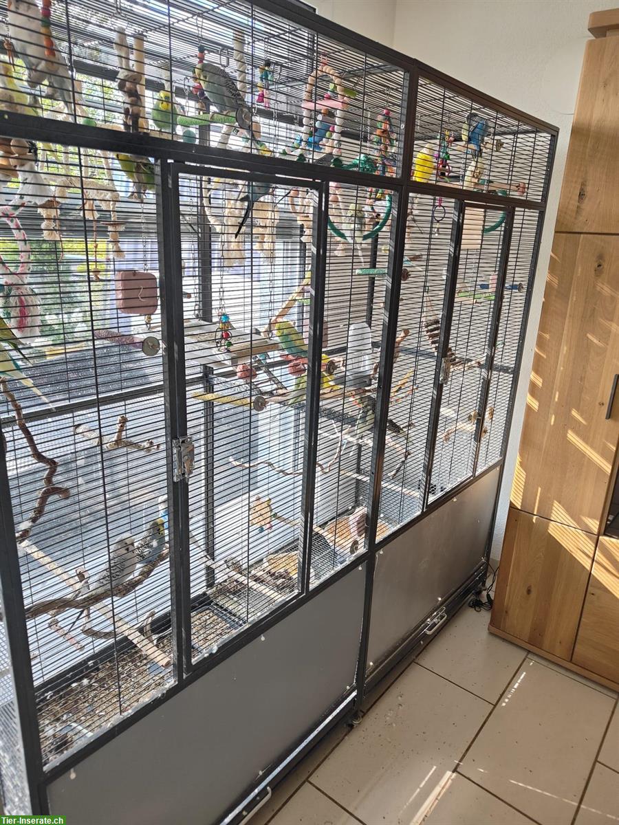 2x Vogelvoliere XXL Sydney II zu verkaufen