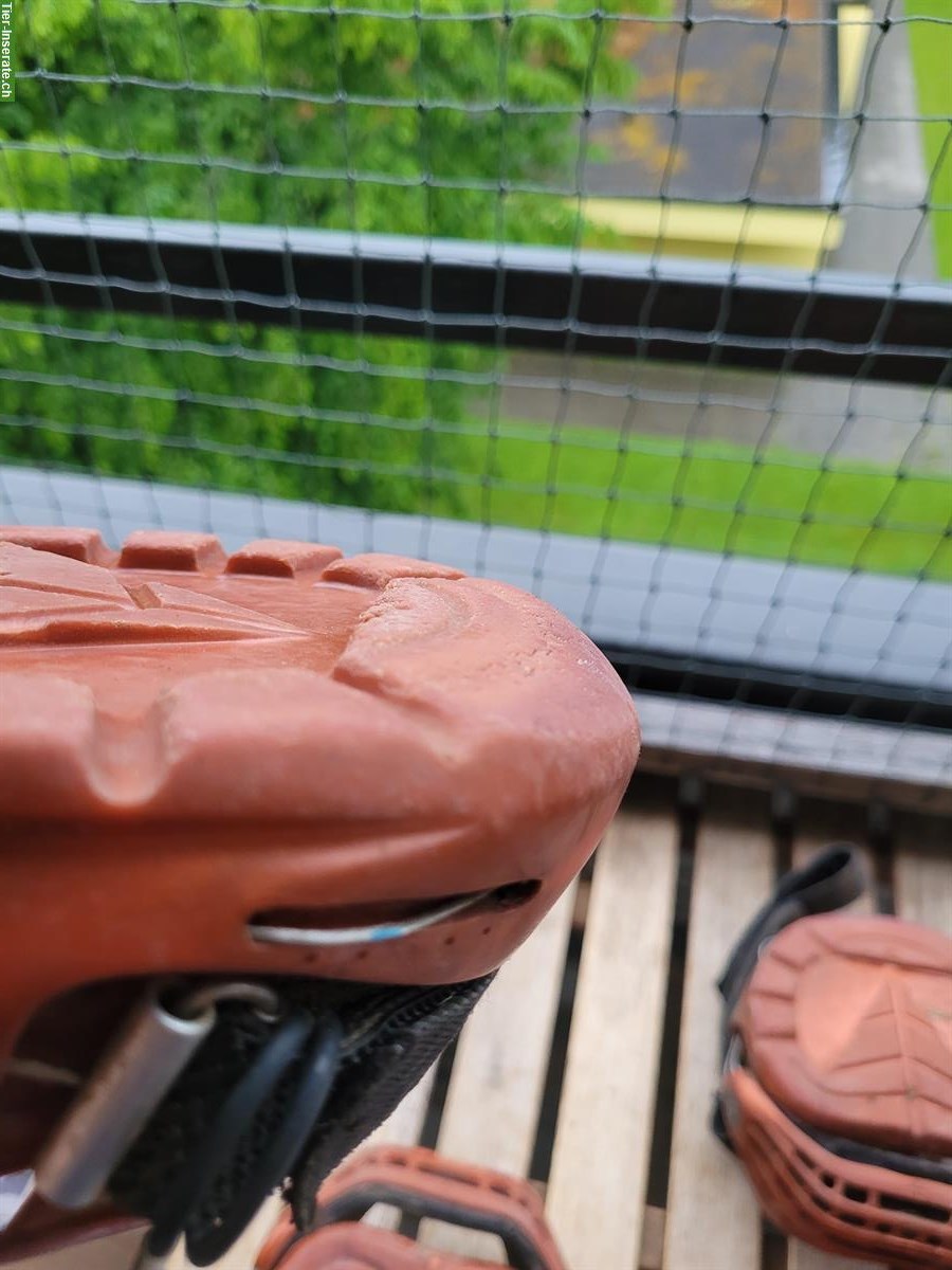 Bild 7: Gebrauchte Renegade Hufschuhe in gutem Zustand