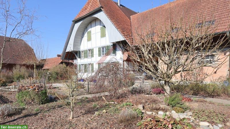 6-Zimmer Wohnung in Bauernhaus mit Offenstall, Garten & Hühnerhaus