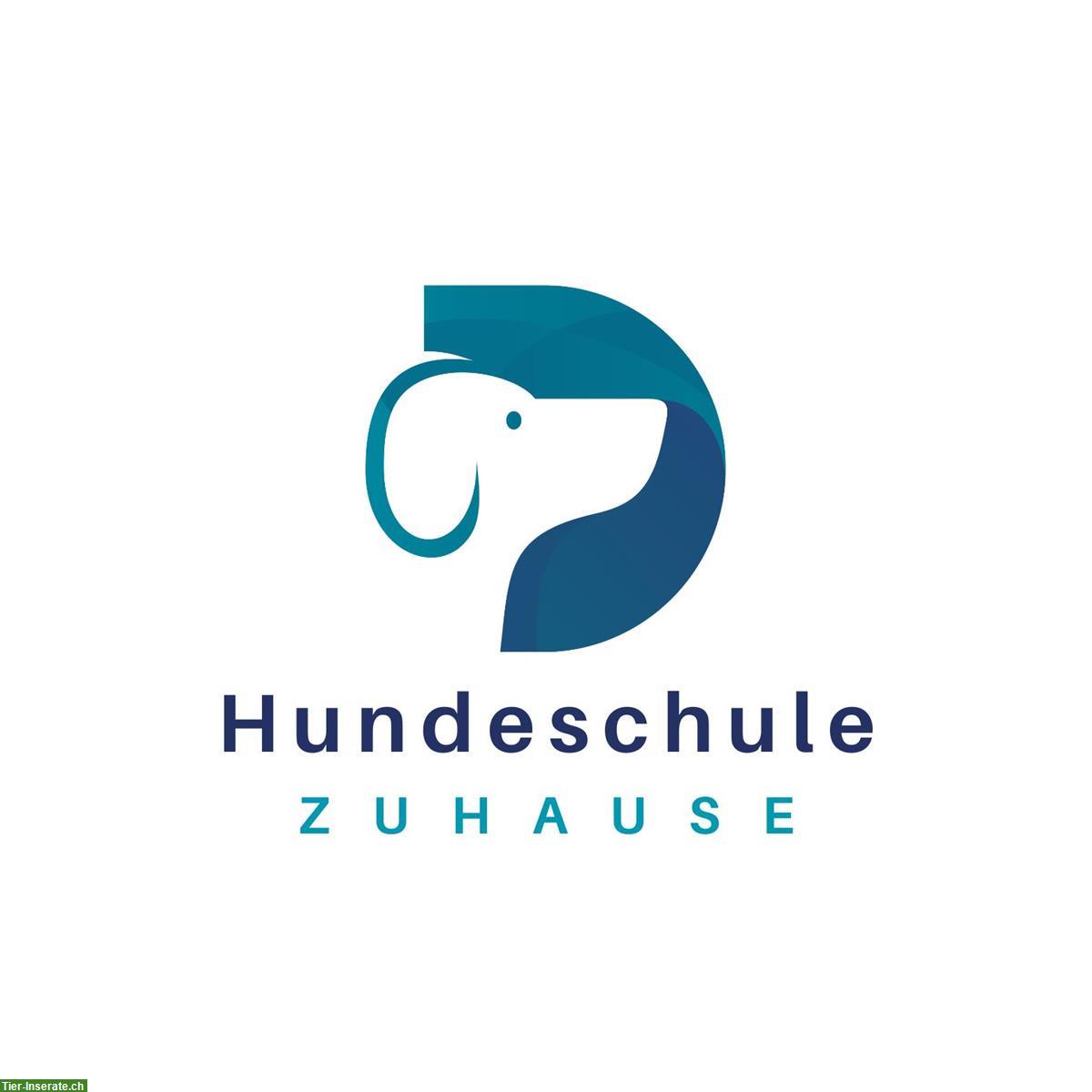 Hundeschule ZUHAUSE - Das Training beginnt bei dir Zuhause