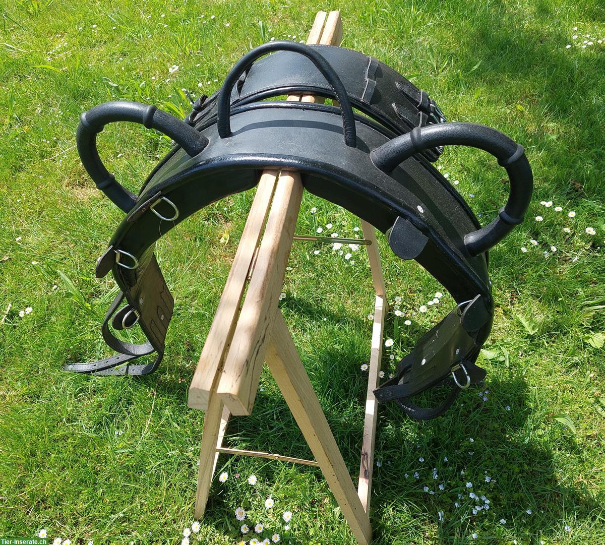 Longier- und Voltigiergurt von Waldhausen, Grösse Pony