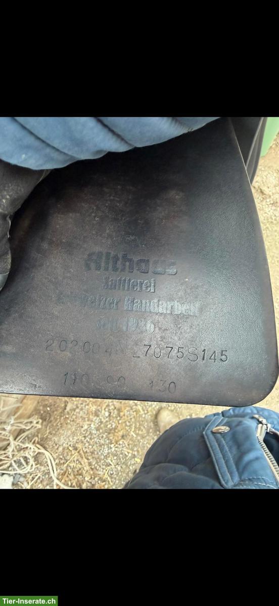 Bild 6: VSD Sattel Althaus zu verkaufen