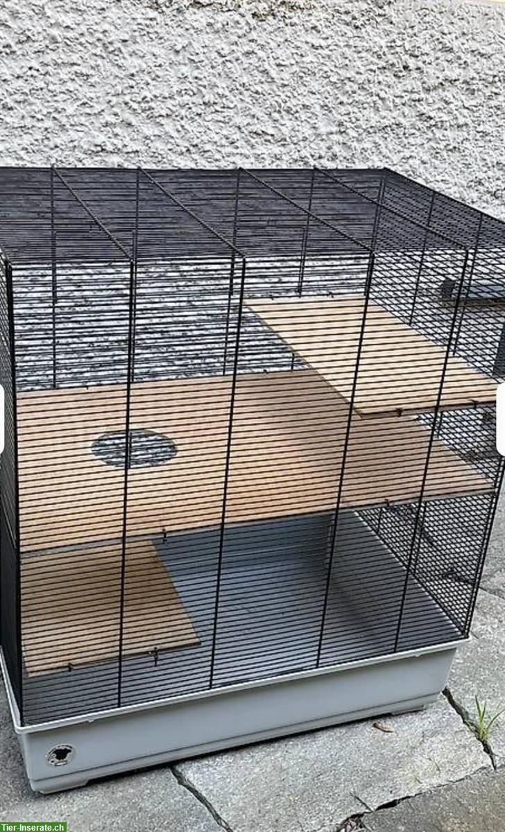 Bild 2: Nagerkäfig für 3-4 Farbmäuse GRATIS abzugeben