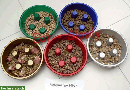 Bild 2: Antischling-Napf, eat-slowly Fressnapf swissmade