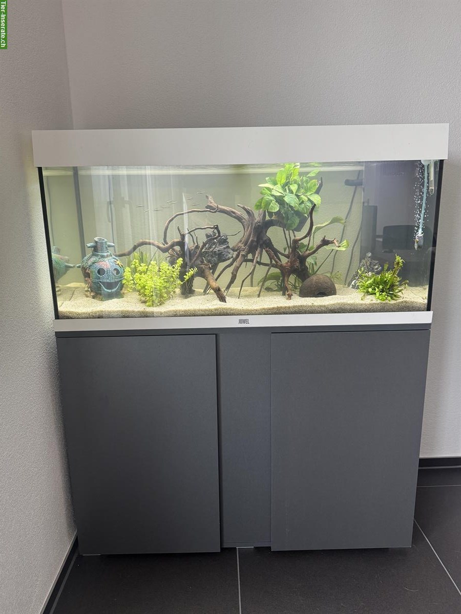 Juwel Aquarium Rio 180l LED mit Schrank + viel Zubehör