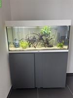 Juwel Aquarium Rio 180l LED mit Schrank + viel Zubehör