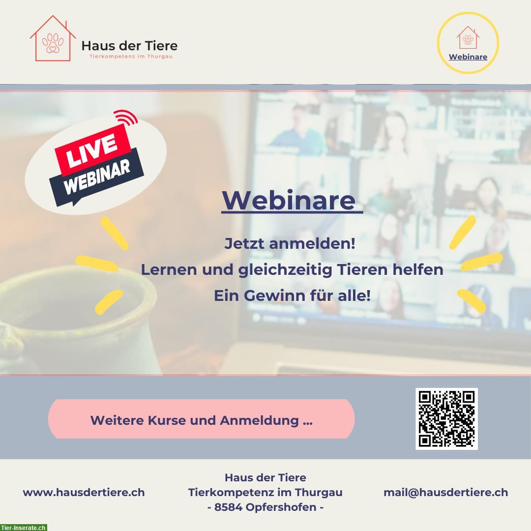 Neu beim Haus der Tiere - Webinare!