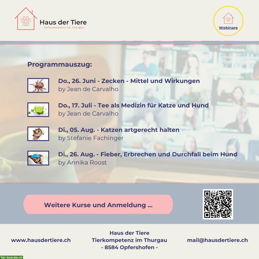 Bild 2: Neu beim Haus der Tiere - Webinare!