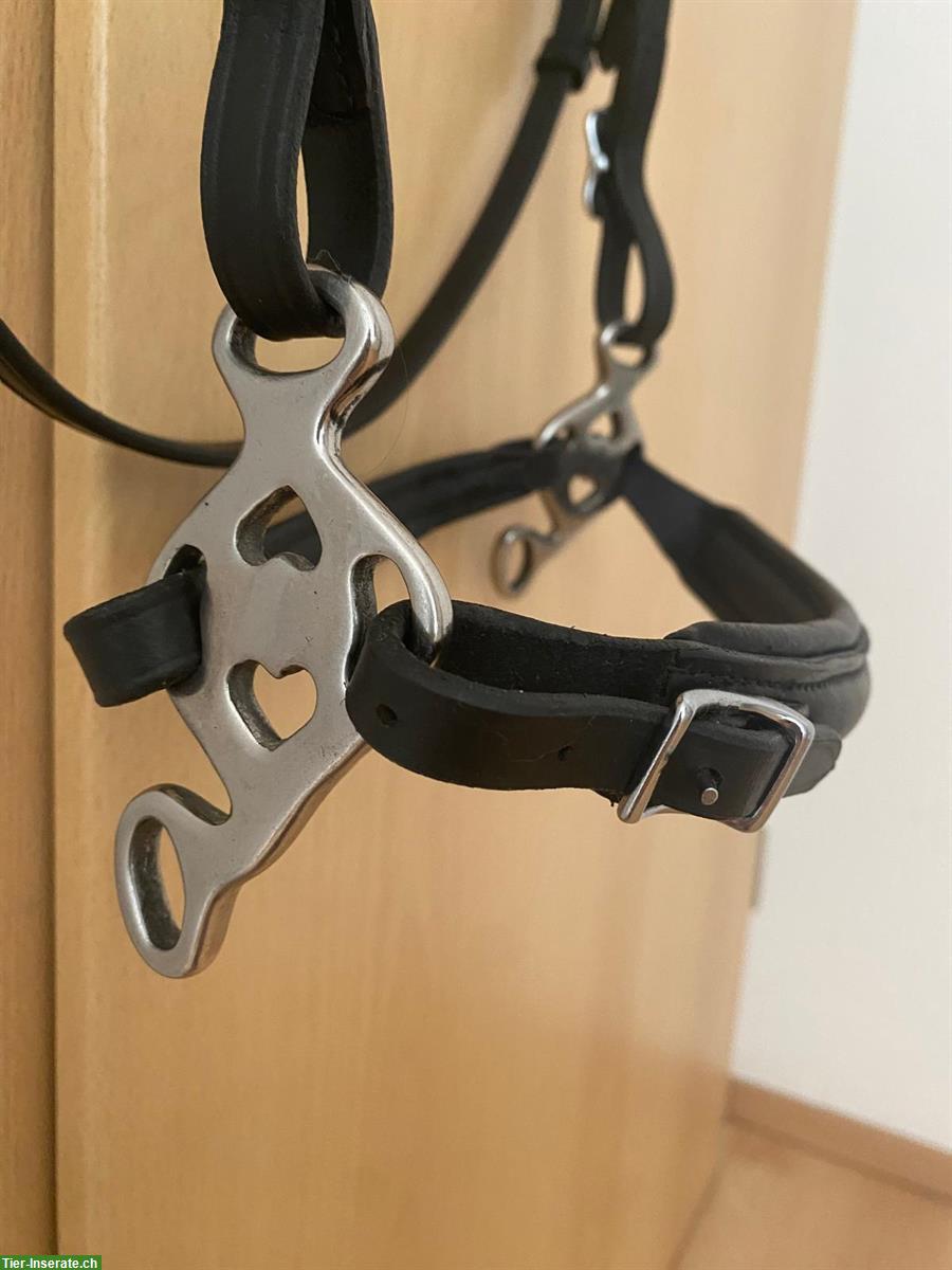 Hackamore geeignet für Kleinpferde