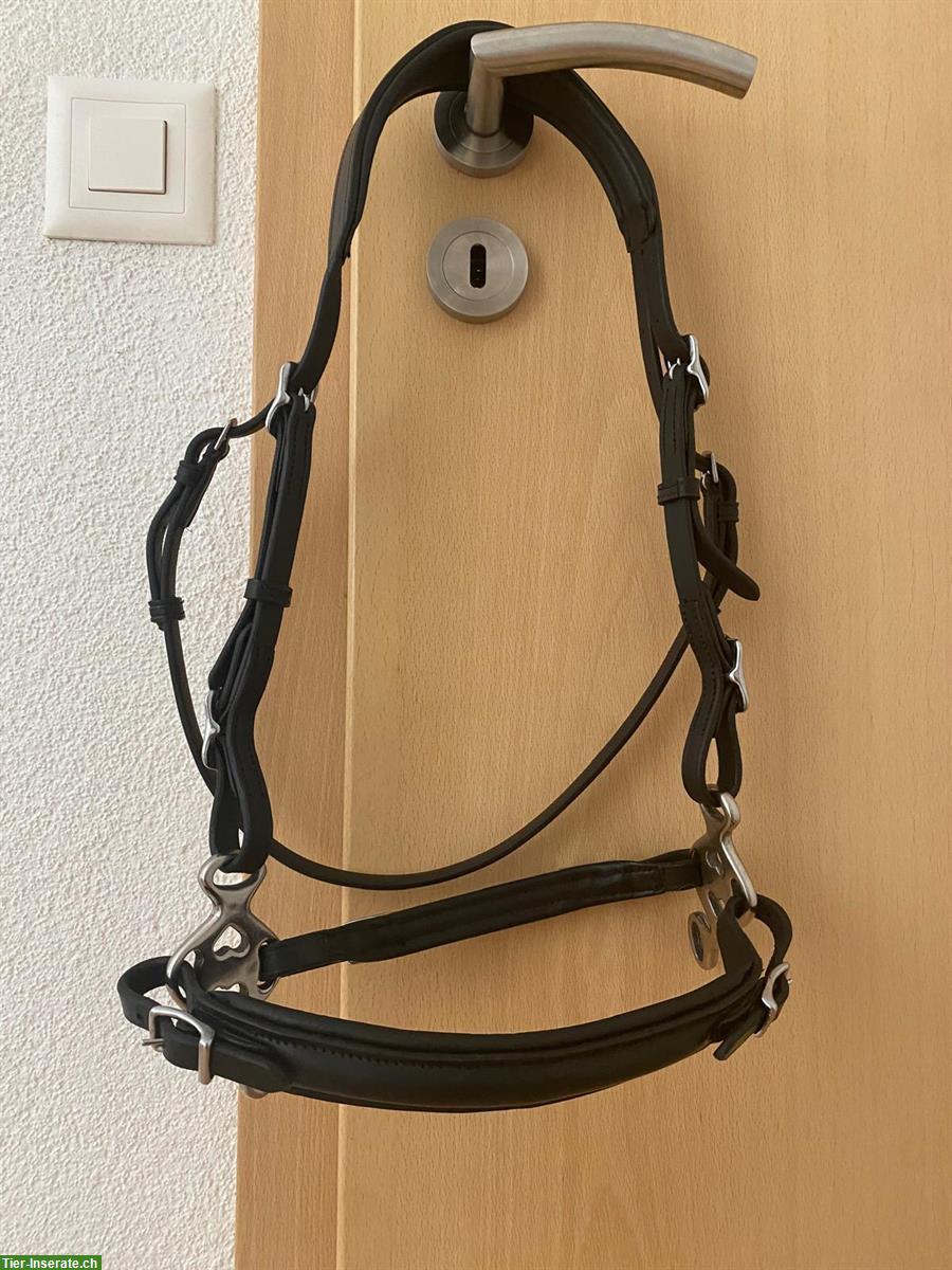 Bild 2: Hackamore geeignet für Kleinpferde