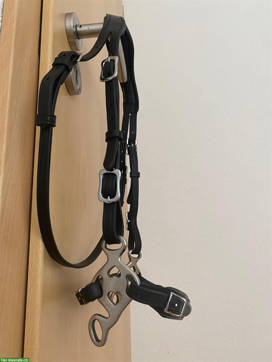 Bild 4: Hackamore geeignet für Kleinpferde