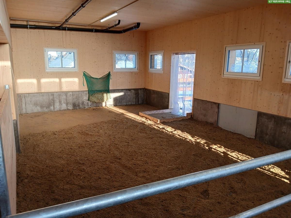 Bild 4: Bieten Offenstallplatz in Wald AR