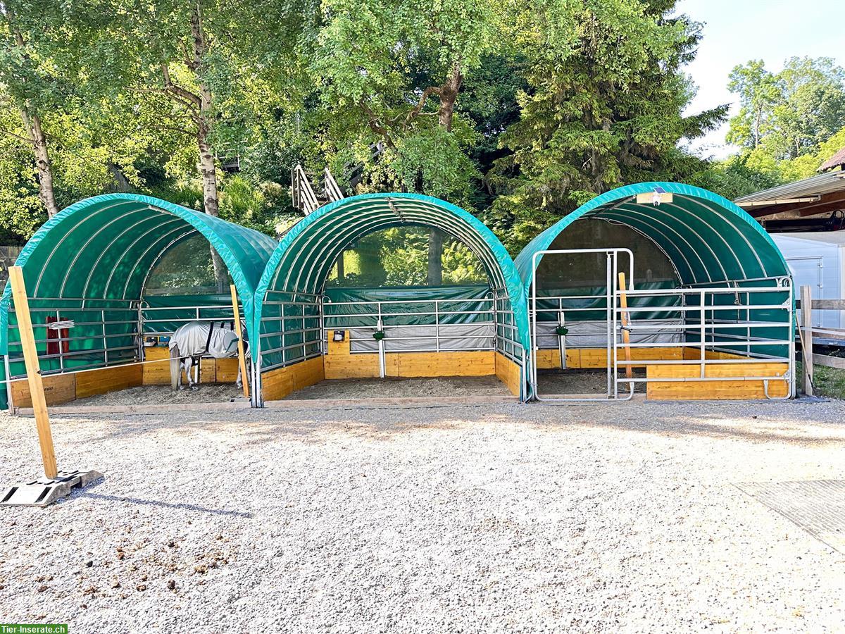 Bild 5: Offenstallplatz für Isländer in Jona SG