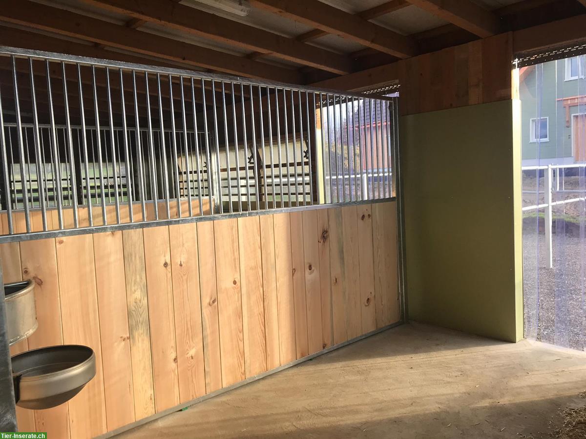 Bild 8: Pferdeboxe zu vermieten in Unteregg, Bischofszell