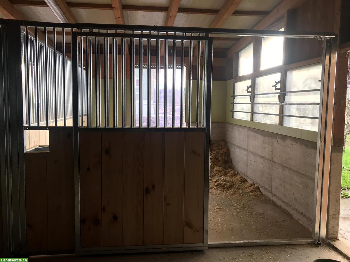 Bild 9: Pferdeboxe zu vermieten in Unteregg, Bischofszell