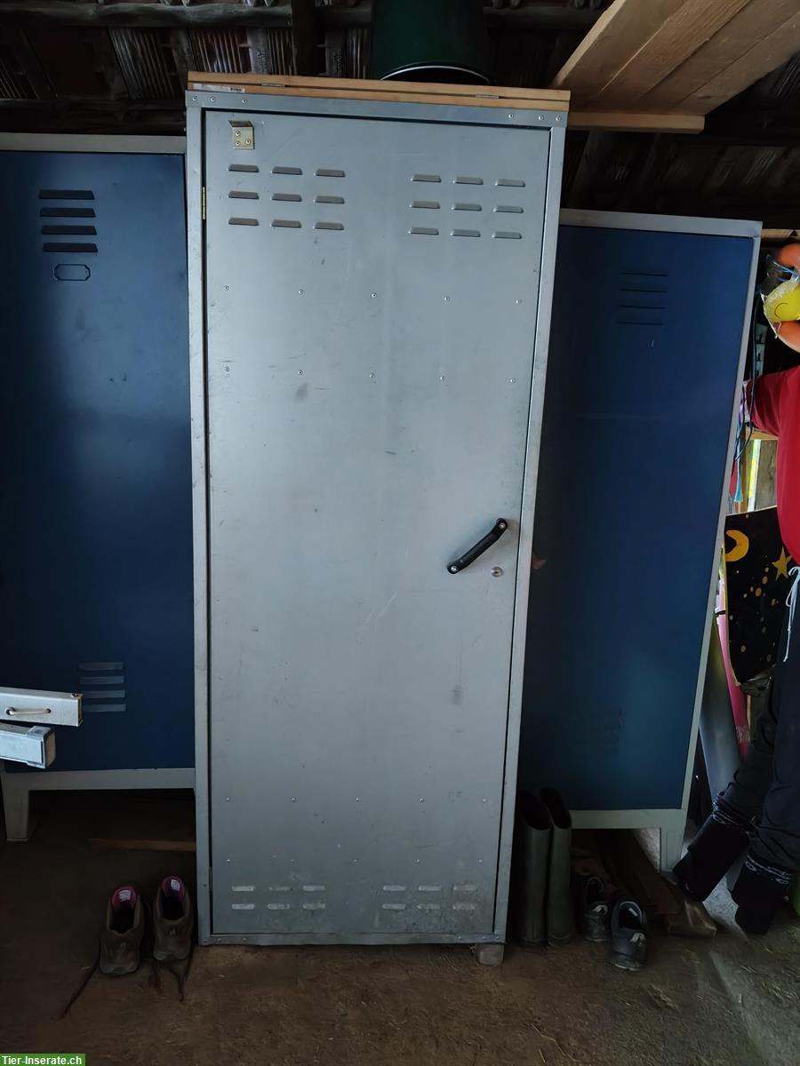 Toller Sattelschrank zu verkaufen