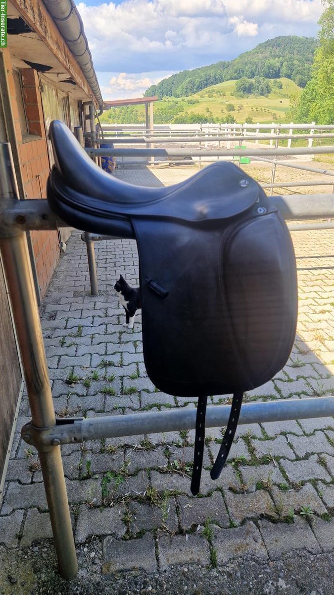 Dressursattel Prestige Venus zu verkaufen