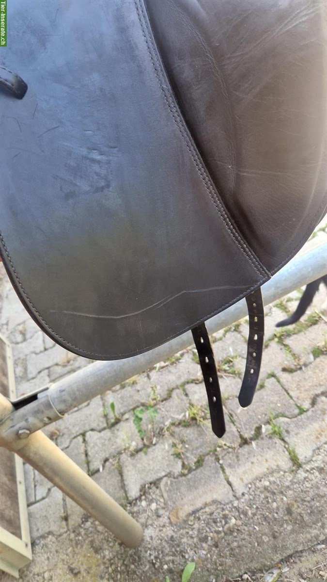 Bild 2: Dressursattel Prestige Venus zu verkaufen