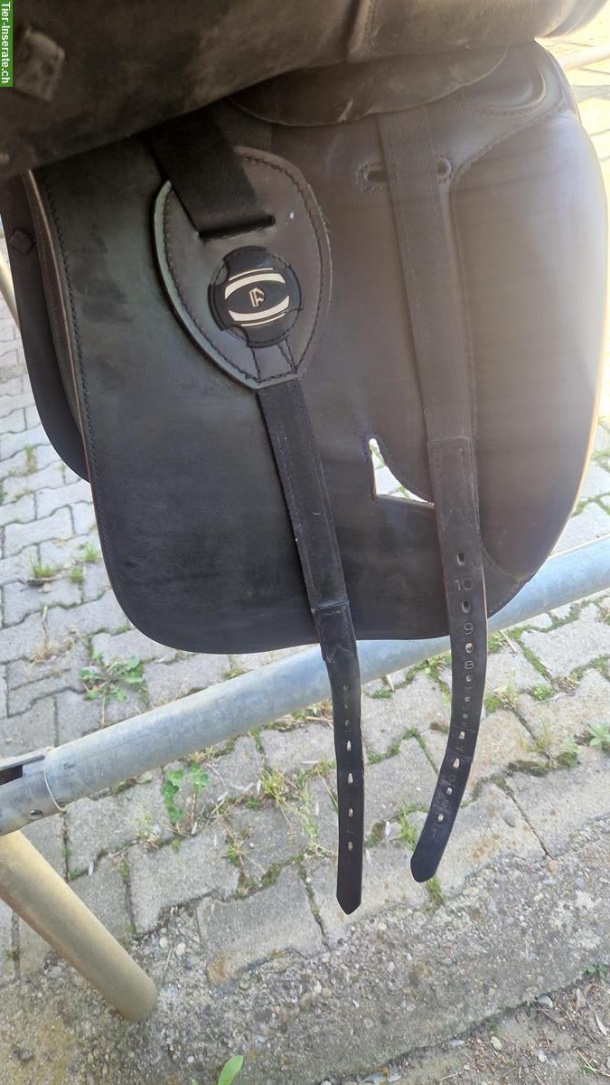 Bild 3: Dressursattel Prestige Venus zu verkaufen