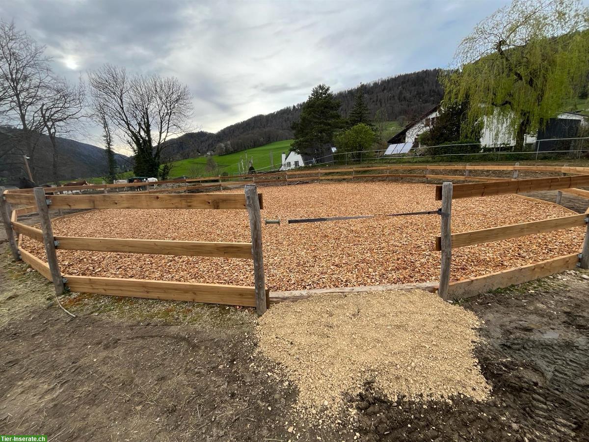 Bild 6: Pferdepension im Laufstall in 2740 Moutier