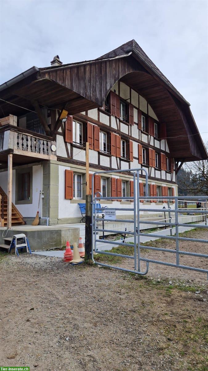 Pferdezentrum Grossmatt inkl. Bauernhaus | mieten/pachten