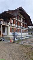 Pferdezentrum Grossmatt inkl. Bauernhaus | mieten/pachten