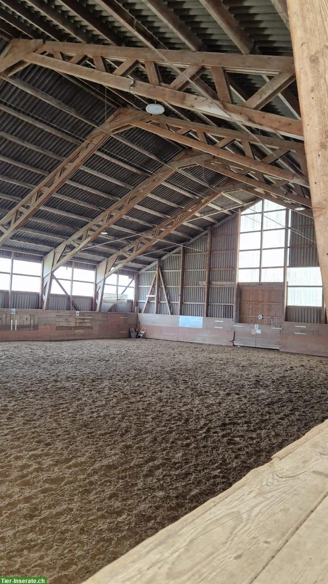 Bild 3: Pferdezentrum Grossmatt inkl. Bauernhaus | mieten/pachten