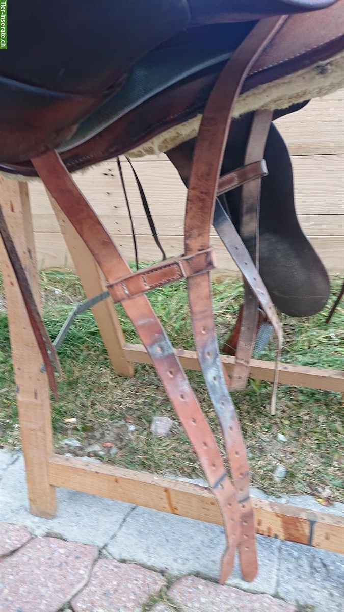Bild 3: Swing Tree Vario Sattel zu verkaufen