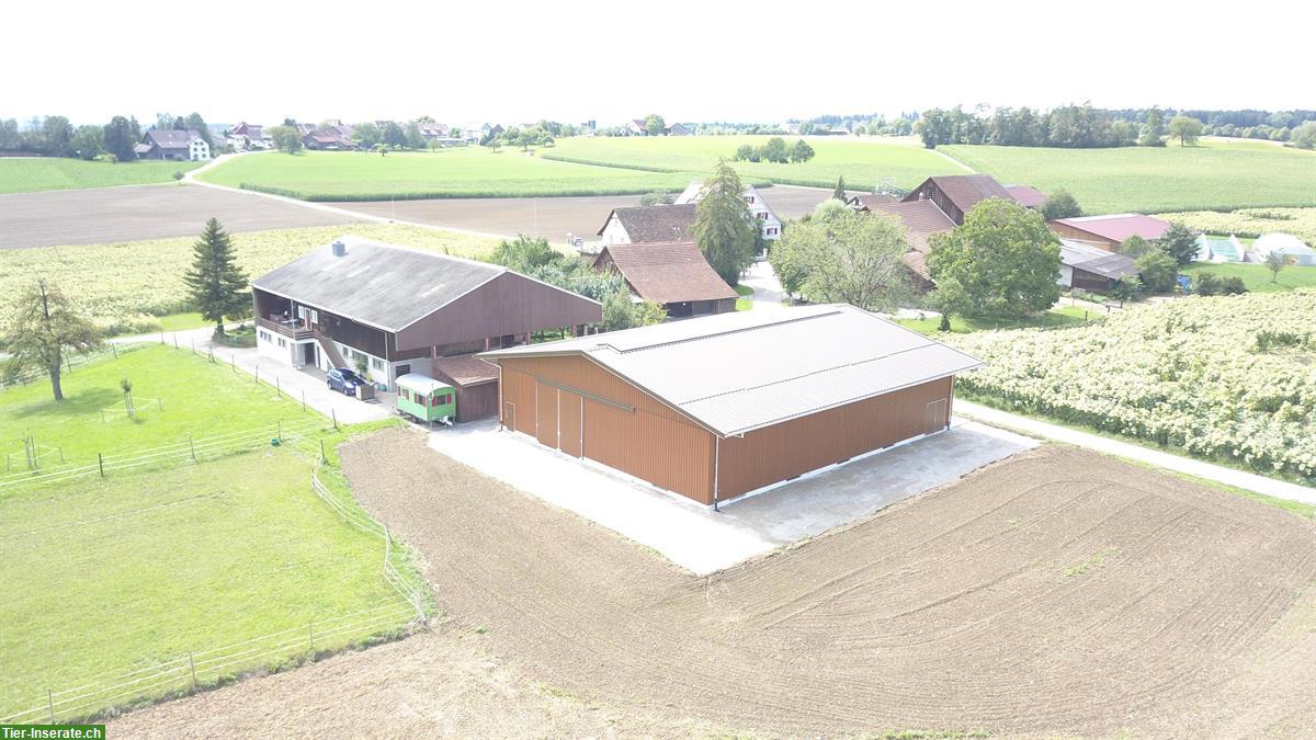Vermieten Selbstversorgerstall/Gruppe in Winterberg ZH