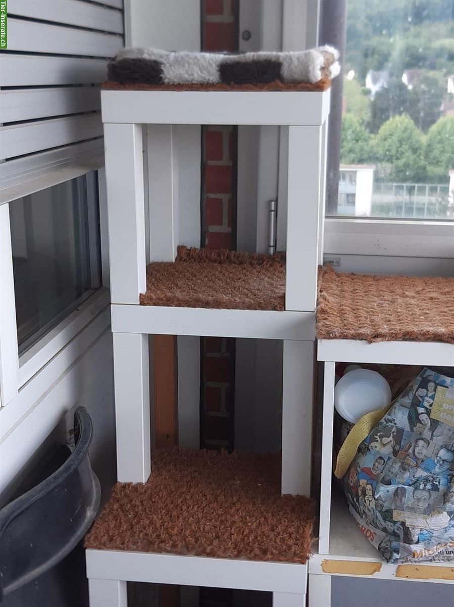 Bild 3: Material für Katzenbaum/Katzentreppe aus IKEA-LACK-Tischchen