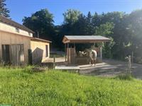Offenstallplätze in Selbstversorger-Stallgemeinschaft in Dürrenäsch AG