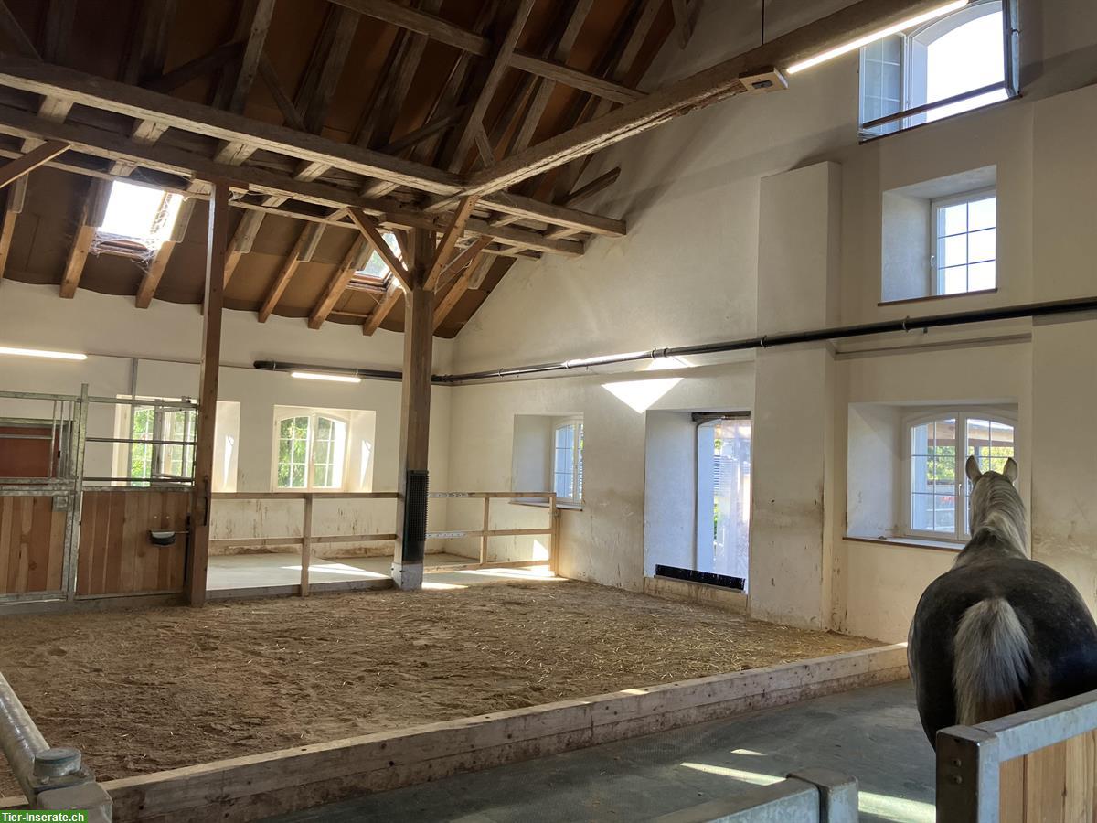 Bild 3: Offenstallplätze in Selbstversorger-Stallgemeinschaft in Dürrenäsch AG