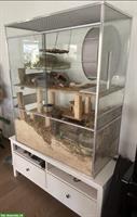 Glas Terrarium mit Möbeli und Laufrad