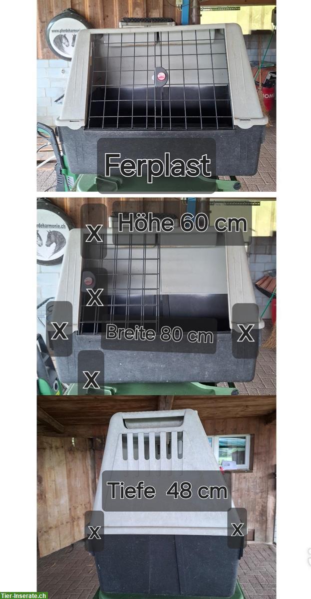 Grosse Hundebox von Ferplast