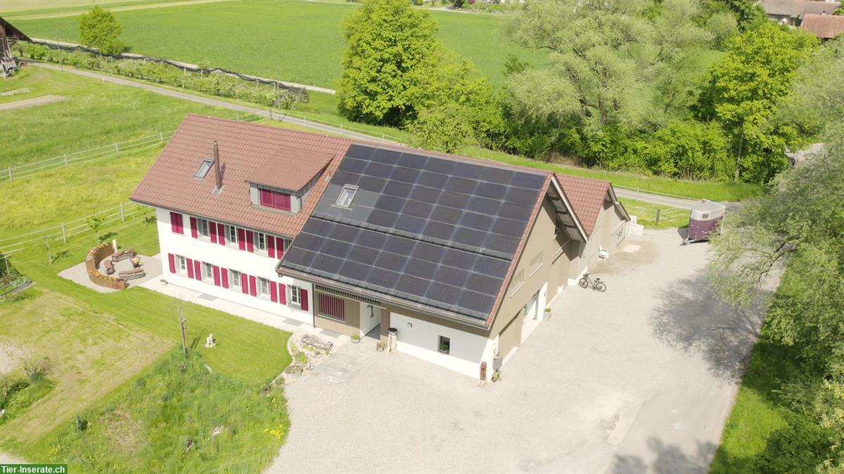 6,5 Zimmer Wohnung mit 3 Pferdeboxen zu vermieten