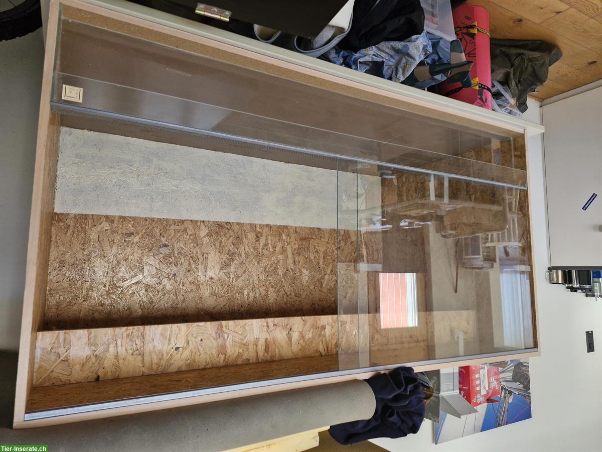 Bild 3: Grosses OSB Terrarium 150x80x80cm sehr günstig zu verkaufen