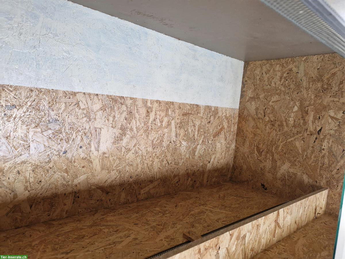 Bild 4: Grosses OSB Terrarium 150x80x80cm sehr günstig zu verkaufen