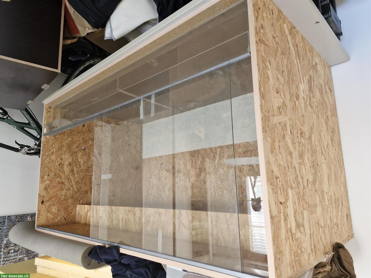 Bild 5: Grosses OSB Terrarium 150x80x80cm sehr günstig zu verkaufen