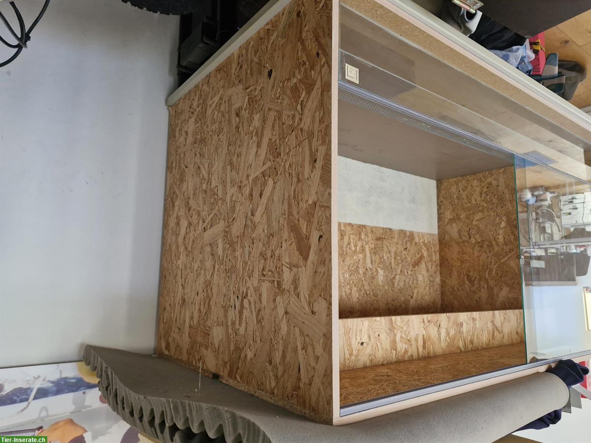 Bild 6: Grosses OSB Terrarium 150x80x80cm sehr günstig zu verkaufen