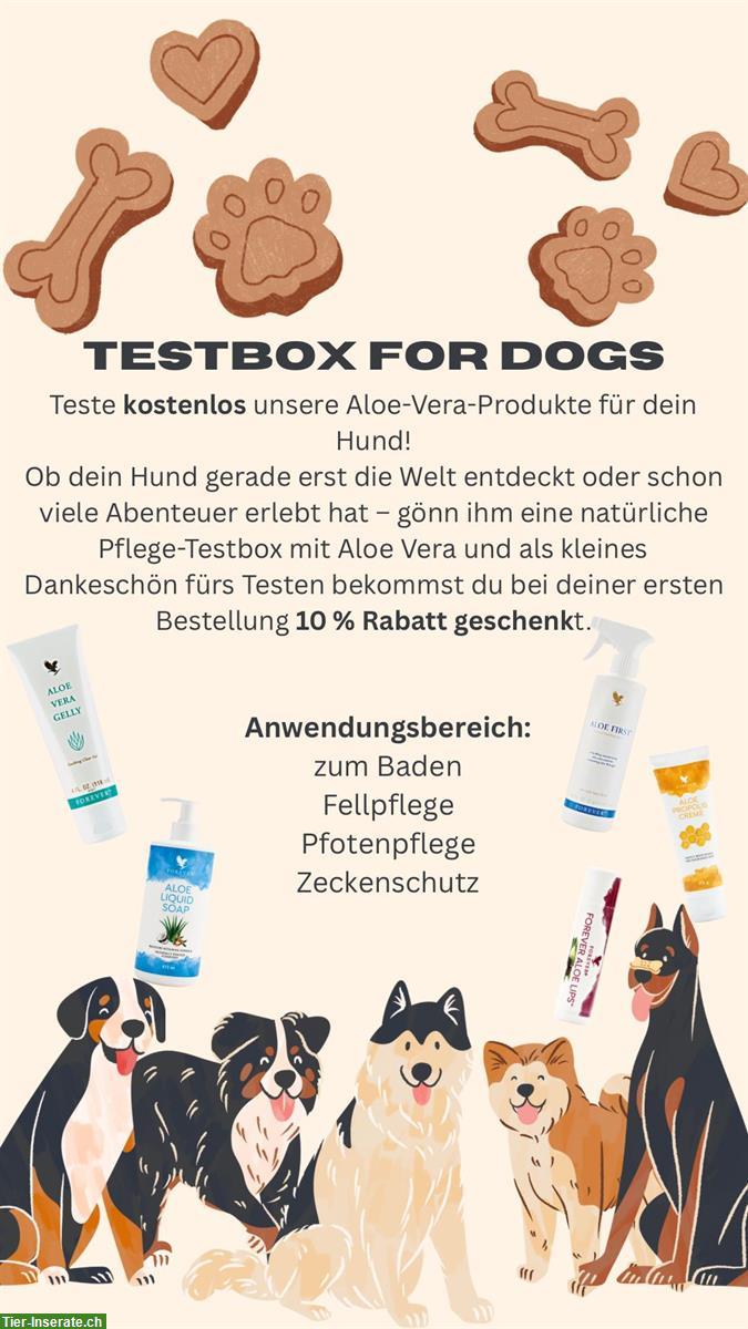 Kostenlose Testboxen für dein Hund
