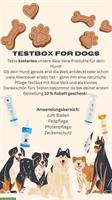 Kostenlose Testboxen für dein Hund