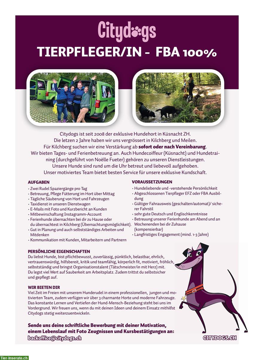 Suchen Tierpfleger/In EFZ oder FBA Ausbildung 100%