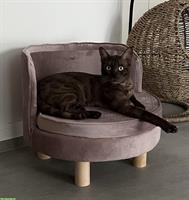 Bengal Katze sucht ihren Lebensplatz