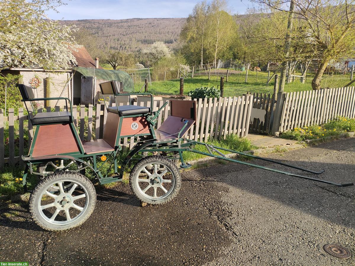 Bild 3: Kutsche ein oder zweispännig fahrbar