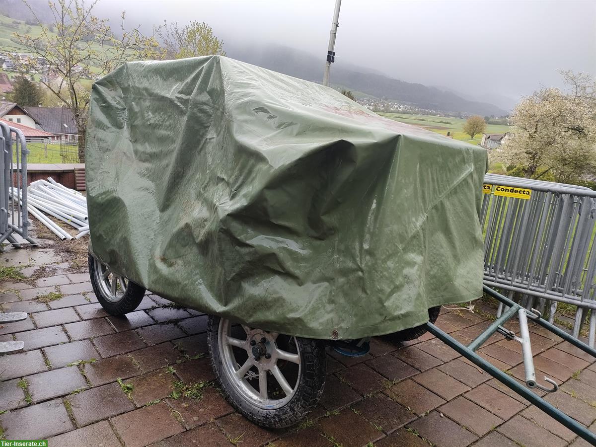 Bild 4: Kutsche ein oder zweispännig fahrbar