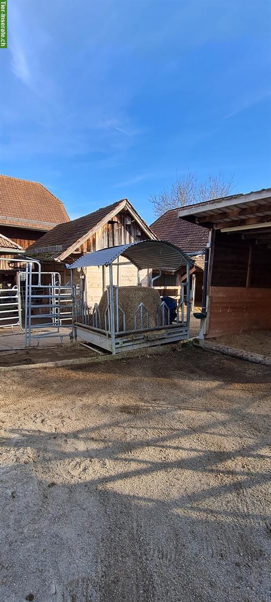 Bild 3: 🐴Platz in 3er-Offenstall in Stalden bei Konolfingen
