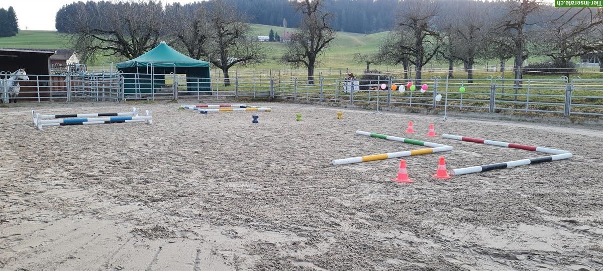 Bild 5: 🐴Platz in 3er-Offenstall in Stalden bei Konolfingen