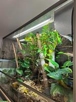 Bioaktives Terrarium, LxBxH 130x50x80cm